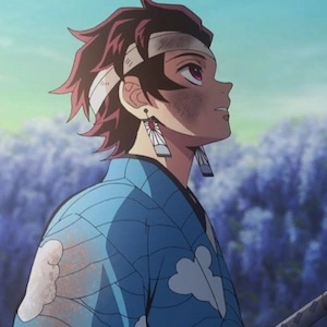 Hero profile